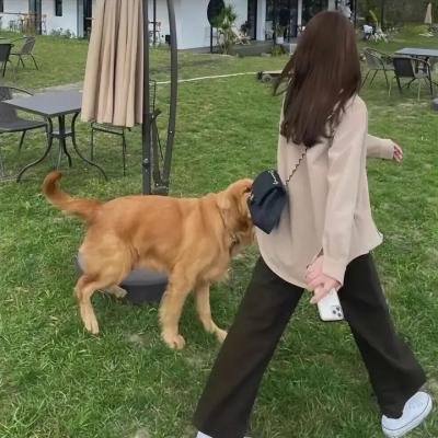 沉默的教室